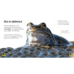 Livre du tetard a la grenouille de Jardinerie Bordeaux Libourne Gironde dans C023