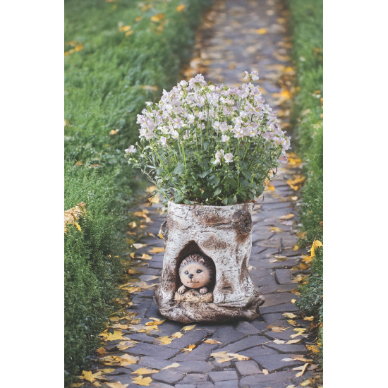 Jardinière souche hérisson de Smart garden dans S1541