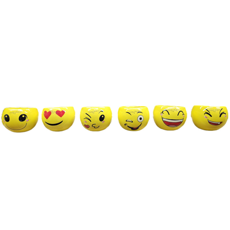 POT MAGNETIC EMOJI de Jardinerie Bordeaux Libourne Gironde dans J024