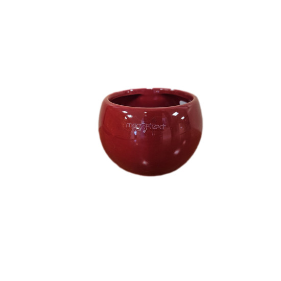 POT MAGNETIC RED de Jardinerie Bordeaux Libourne Gironde dans J024