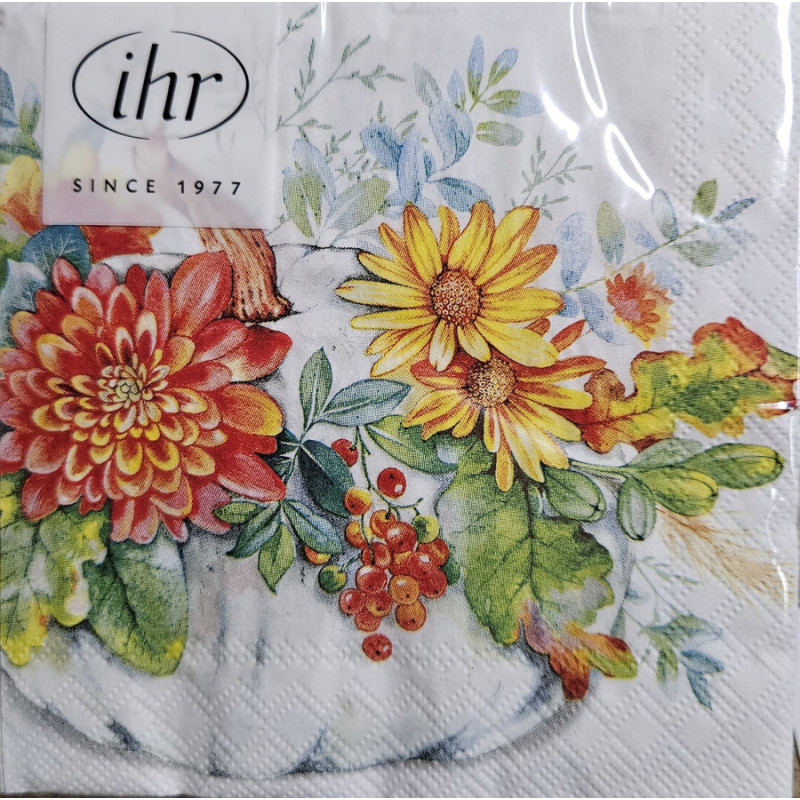 SERVIETTE LUNCH CUCURBITA de Jardinerie Bordeaux Libourne Gironde dans M067