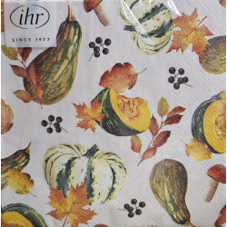SERVIETTE LUNCH RECOLTE AUTOMNE de Jardinerie Bordeaux Libourne Gironde dans M067