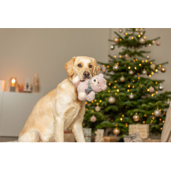 Xmas teddy. en peluche. 19cm de Trixie - Produit pour animaux dans T050
