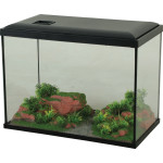 Decor landscape red soil 40 pour aquarium de Zolux - Produit pour animaux dans Z002