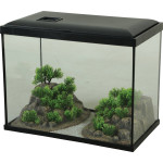 Decor landscape 35 pour aquarium de Zolux - Produit pour animaux dans Z002