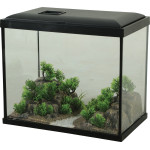 Decor landscape 30 pour aquarium de Zolux - Produit pour animaux dans Z002