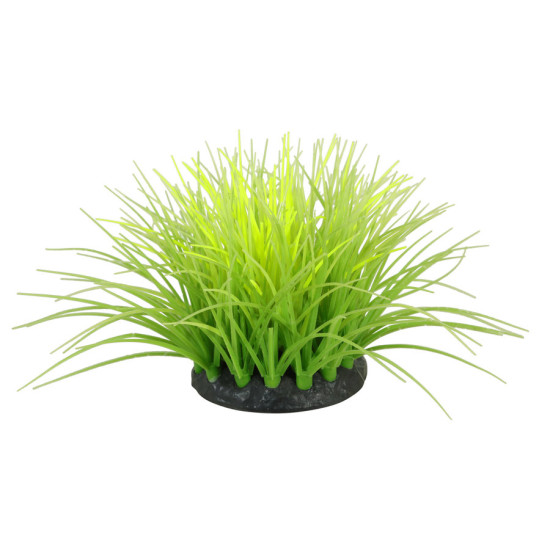 Decor flowers 4 vert/ jaune pour aquarium de Zolux - Produit pour animaux dans Z002
