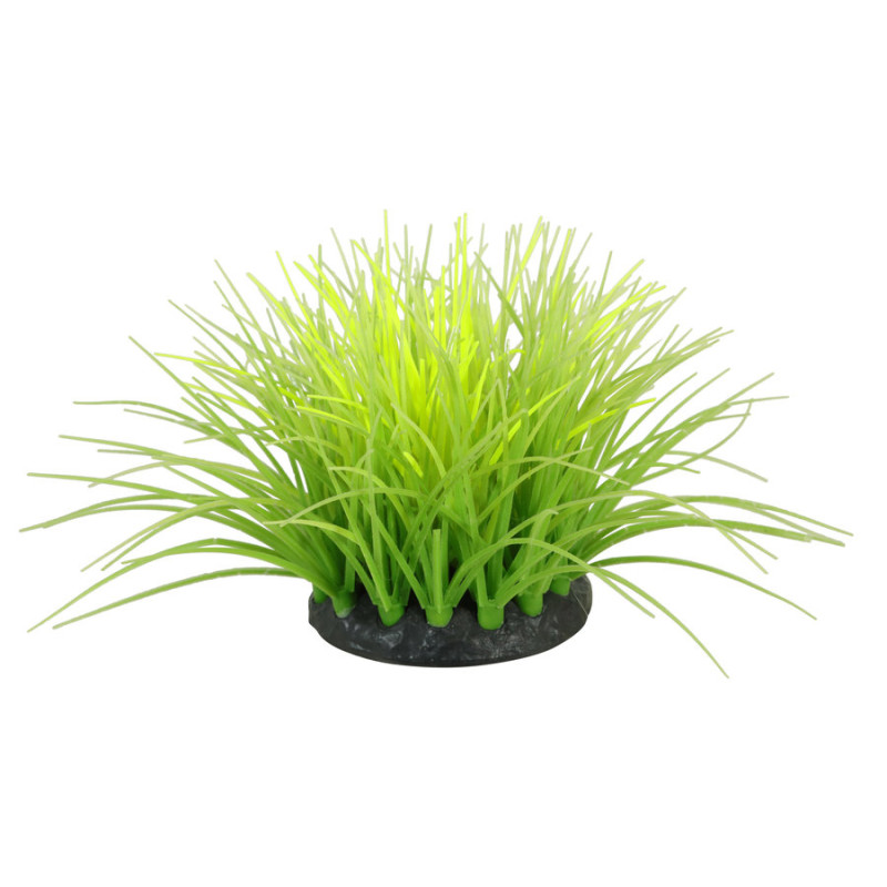 Decor flowers 4 vert/ jaune pour aquarium de Zolux - Produit pour animaux dans Z002