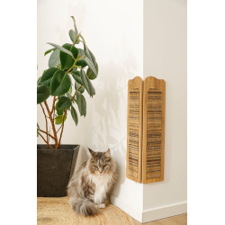 Griffoir angle boreal vert de Zolux - Produit pour animaux dans Z002