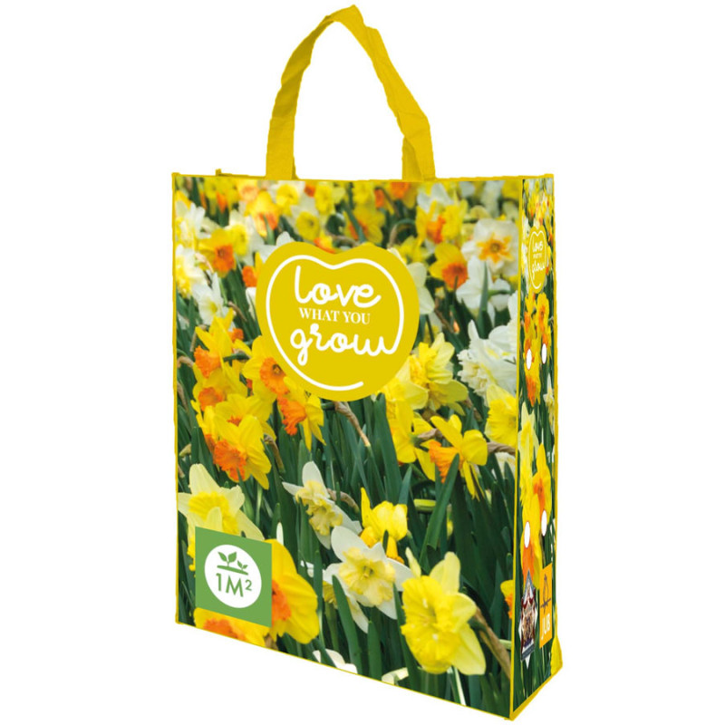 BAG 25 NARCISSUS MIX - LOVE WHAT YOU de Teragile - produits pour le jardin dans J024