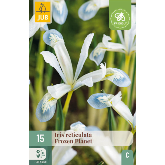 IRIS - FROZEN PLANET X15 de Teragile - produits pour le jardin dans J024