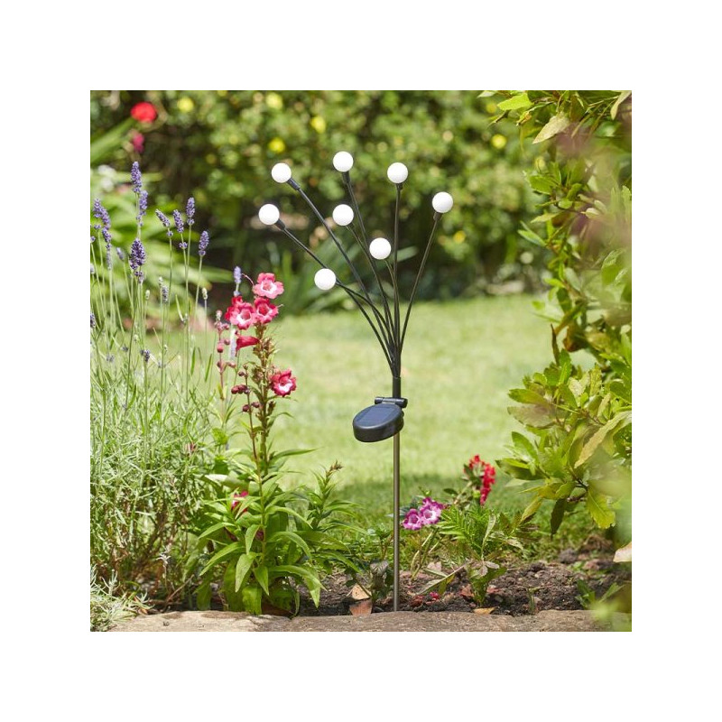 Balise solaire gloglobes-8 tiges blanc chaud de Smart garden dans S1541