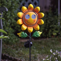 Pique tournesol souriant de Smart garden dans S1541
