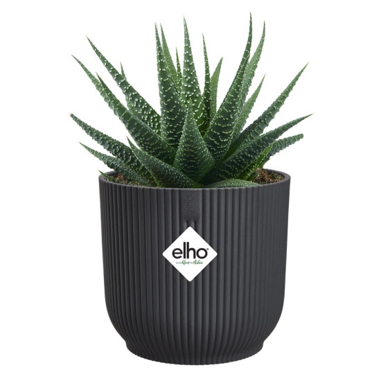 vibes fold rond mini 9cm anthracite -elho de Elho - Pot en plastique de qualité dans E029