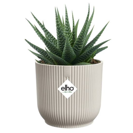 vibes fold rond mini 9cm blanc lin -elho de Elho - Pot en plastique de qualité dans E029