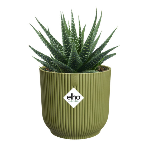 vibes fold rond mini 9cm vert fougere -elho de Elho - Pot en plastique de qualité dans E029