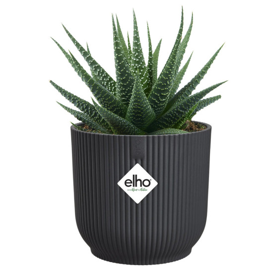 vibes fold rond mini 11cm anthracite -elho de Elho - Pot en plastique de qualité dans E029