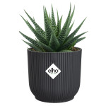 vibes fold rond mini 11cm anthracite -elho de Elho - Pot en plastique de qualité dans E029