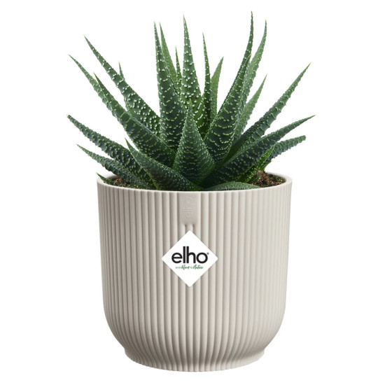 vibes fold rond mini 11cm blanc lin -elho de Elho - Pot en plastique de qualité dans E029