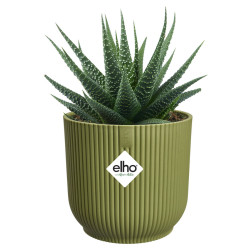 vibes fold rond mini 11cm vert fougere -elho de Elho - Pot en plastique de qualité dans E029