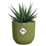 vibes fold rond mini 11cm vert fougere -elho de Elho - Pot en plastique de qualité dans E029