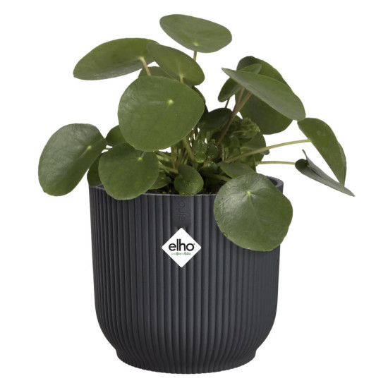 vibes fold rond 14cm anthracite -elho de Elho - Pot en plastique de qualité dans E029