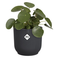 vibes fold rond 14cm anthracite -elho de Elho - Pot en plastique de qualité dans E029