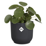 vibes fold rond 14cm anthracite -elho de Elho - Pot en plastique de qualité dans E029