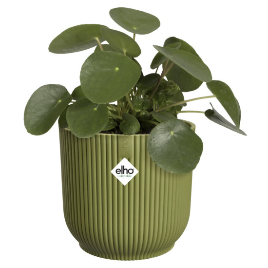 vibes fold rond 14cm vert fougere -elho de Elho - Pot en plastique de qualité dans E029