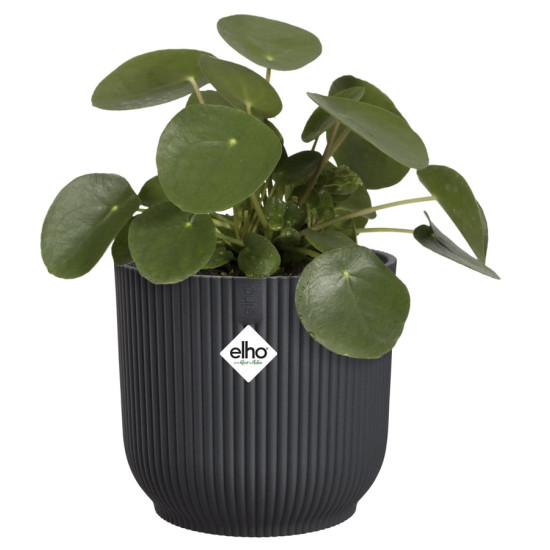 vibes fold rond 18cm anthracite -elho de Elho - Pot en plastique de qualité dans E029