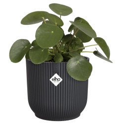 vibes fold rond 18cm anthracite -elho de Elho - Pot en plastique de qualité dans E029
