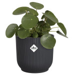vibes fold rond 18cm anthracite -elho de Elho - Pot en plastique de qualité dans E029