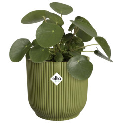 vibes fold rond 18cm vert fougere -elho de Elho - Pot en plastique de qualité dans E029