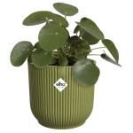 vibes fold rond 18cm vert fougere -elho de Elho - Pot en plastique de qualité dans E029