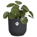 vibes fold rond 25cm anthracite -elho de Elho - Pot en plastique de qualité dans E029
