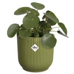 vibes fold rond 25cm vert fougere -elho de Elho - Pot en plastique de qualité dans E029