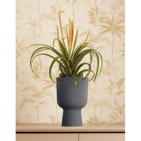 vibes fold coupe 14cm anthracite -elho de Elho - Pot en plastique de qualité dans E029