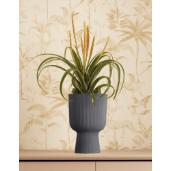 vibes fold coupe 14cm anthracite -elho de Elho - Pot en plastique de qualité dans E029