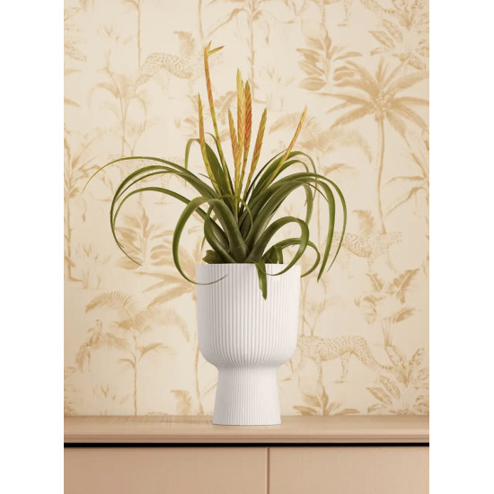 vibes fold coupe 14cm blanc lin -elho de Elho - Pot en plastique de qualité dans E029