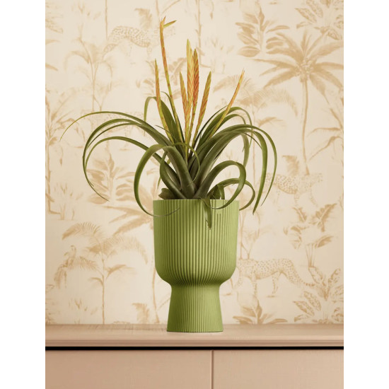 vibes fold coupe 14cm vert fougere -elho de Elho - Pot en plastique de qualité dans E029