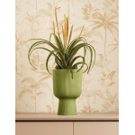vibes fold coupe 14cm vert fougere -elho de Elho - Pot en plastique de qualité dans E029