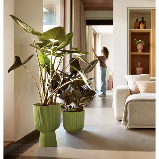 vibes fold coupe 30cm vert fougere -elho de Elho - Pot en plastique de qualité dans E029