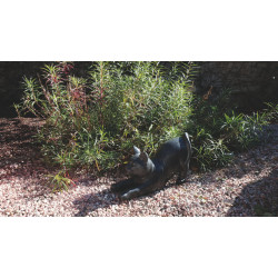 CHAT TERRAZZO NOIR L.50CM de Chamorin - Déco pour le jardin dans C1411