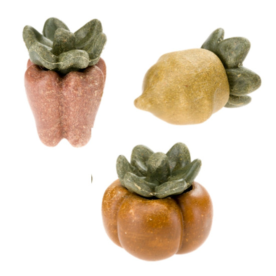 Friandises bouchees de legumes X3 de Ferplast - cage pour oiseaux et rongeurs dans F014