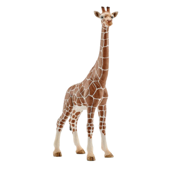 Figurine Schleich Girafe Femelle - Jouet Animal en PVC pour Enfants et Collectionneurs de Schleich - Figurine d'animaux dans ...