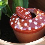 Ollas bolet rouge à pois blanc lutton de Poterie Lutton dans P2031