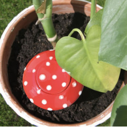 Ollas bolet rouge à pois blanc lutton de Poterie Lutton dans P2031