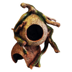 Cachette noix de coco naturelle pour reptiles Repto Deco de Superfish - Aquadistri - accessoires pour aquarium et bassin dans...