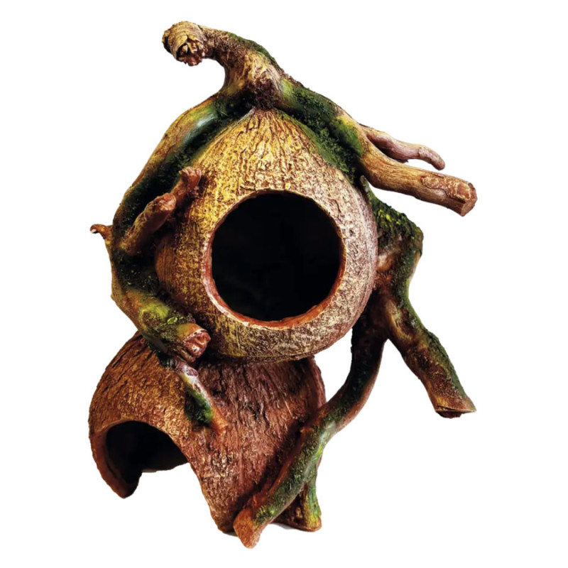 Cachette noix de coco naturelle pour reptiles Repto Deco de Superfish - Aquadistri - accessoires pour aquarium et bassin dans...