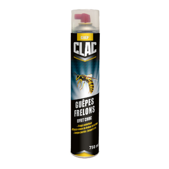 Bombe aérosol anti-guêpes et frelons 750ml de Protecta - Produits dans 🐝 Produits anti Guêpes et frelons